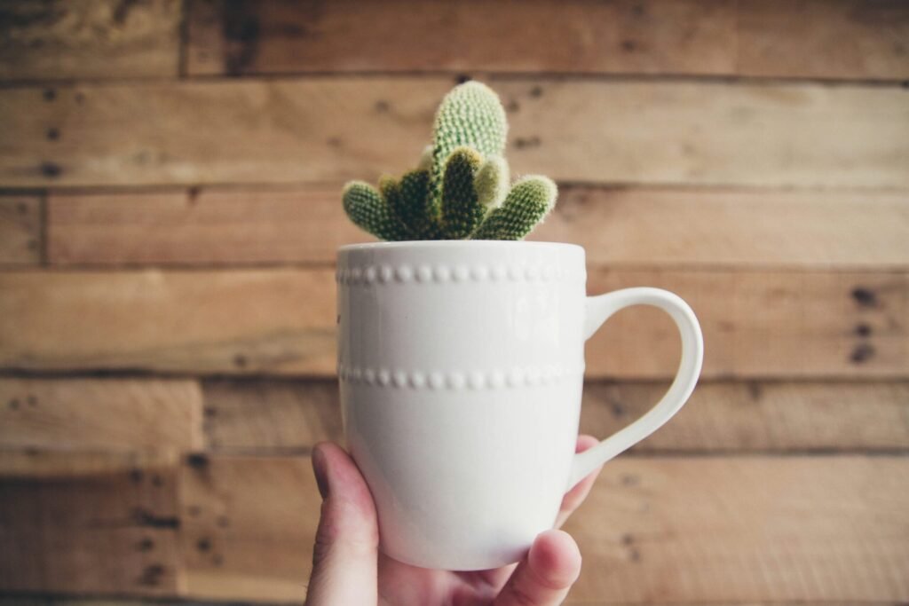 unique gift ideas for mothers