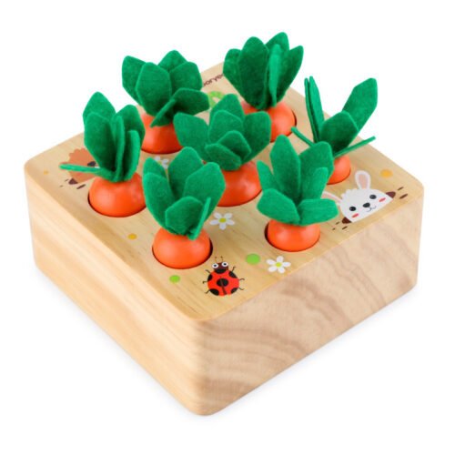 Harvest Wooden Carrots Educational toys