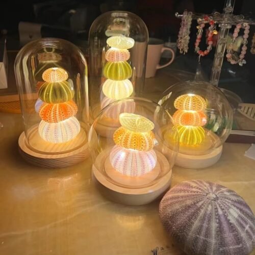 DIY Handmade Diy Luminous Sea Urchin Small Night Lamp